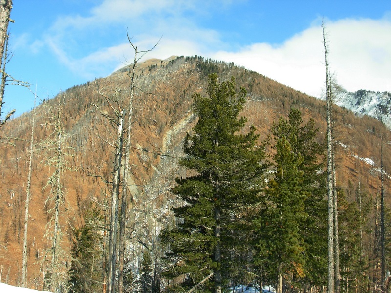 ��� �� ��� ����� �� ������ ������� ����