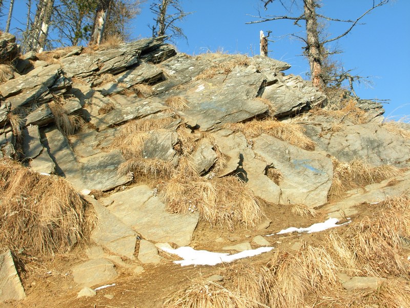 �������� ��������� ��� ������ � ������� �������. ������� �� ����������