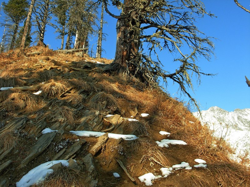 ��� �������, ��� ������ �����