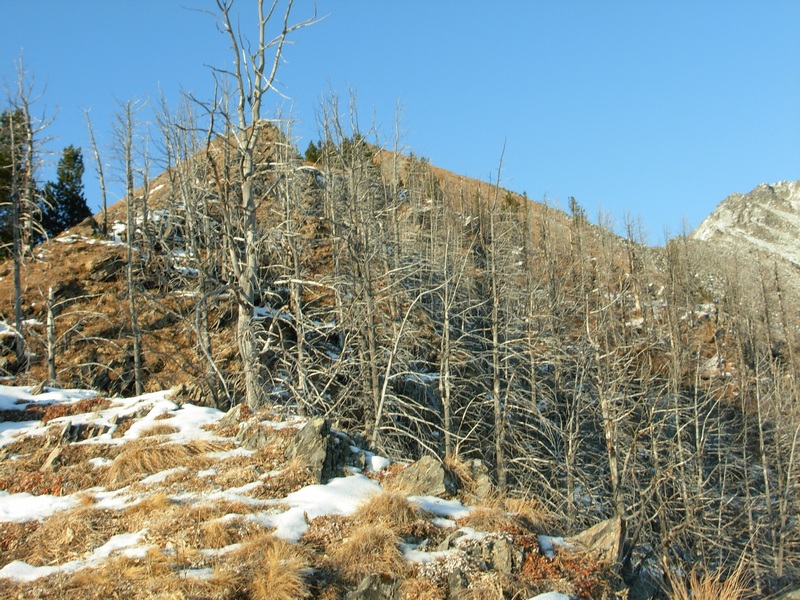 �������� �������, �� �� ������� ��������� ���