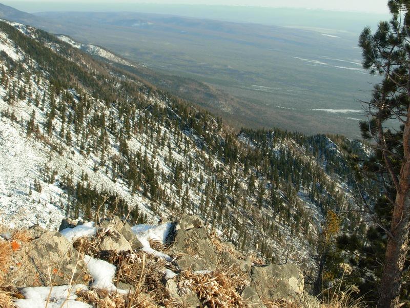 ������� � ���� ������