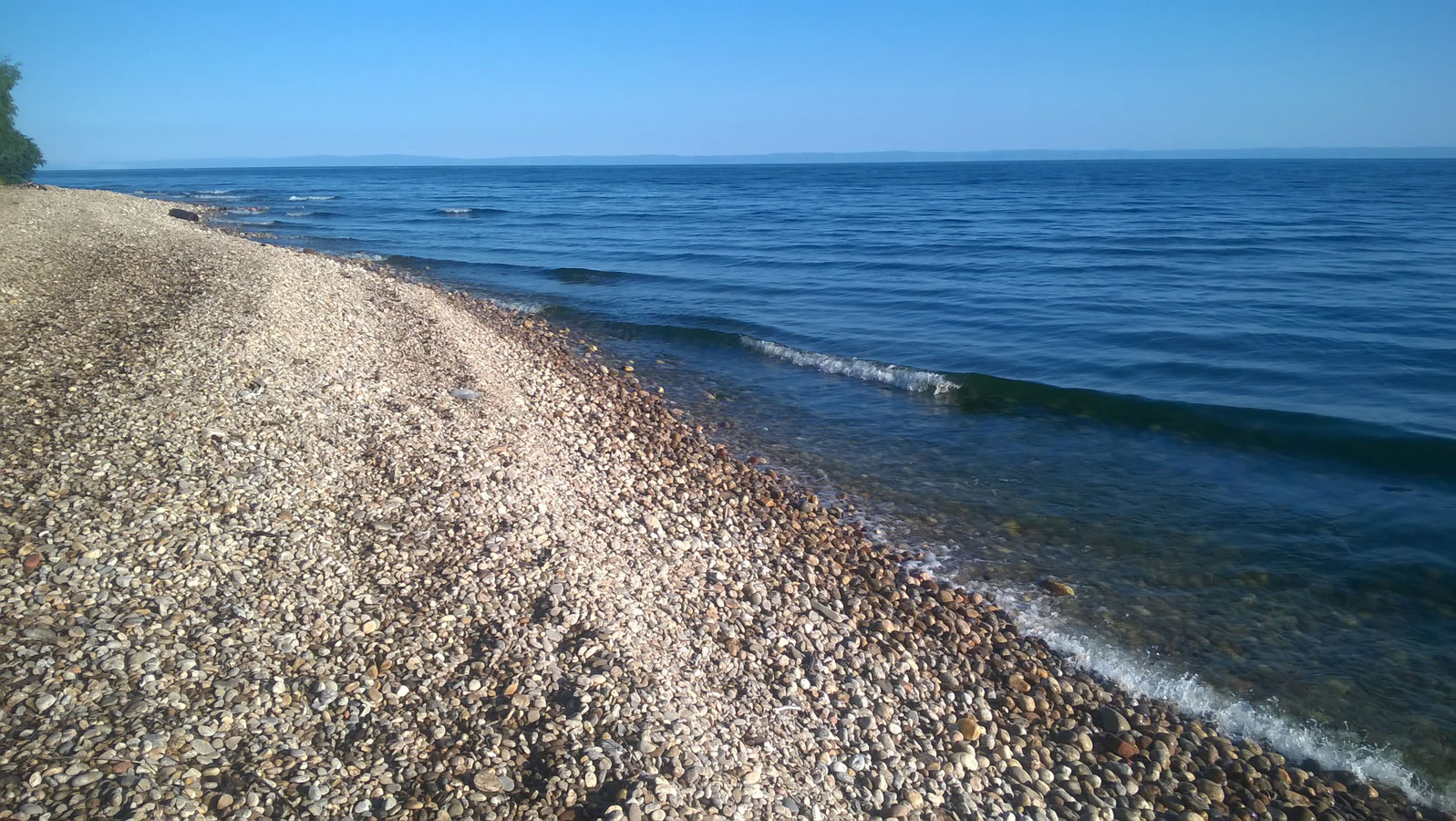 ���� ������