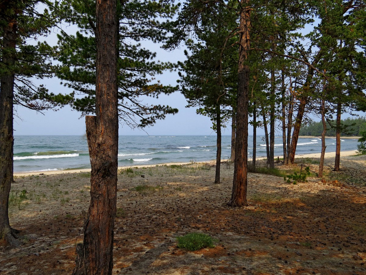 ����� �������