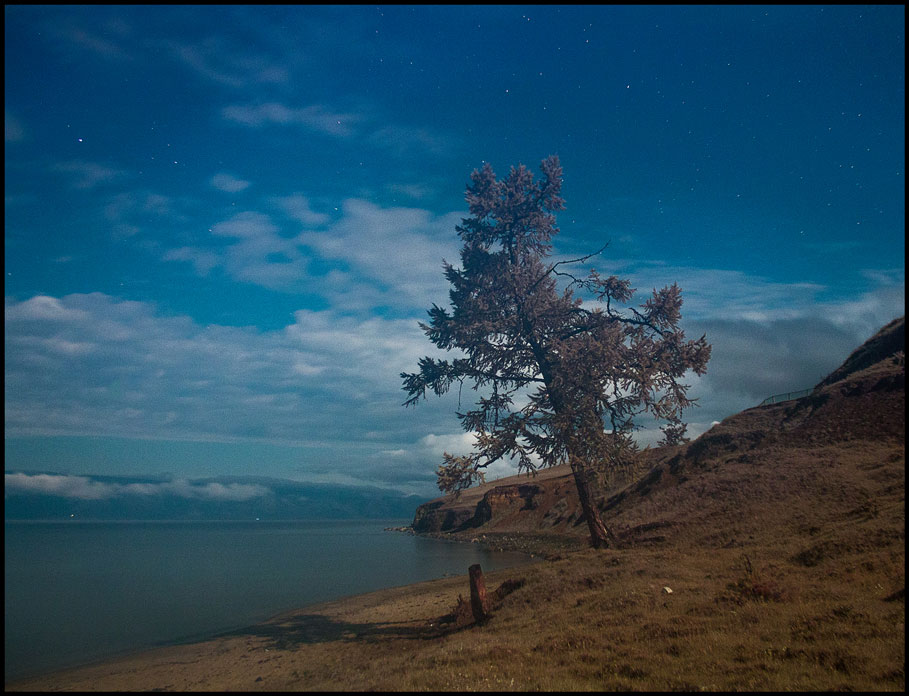 ������ �����