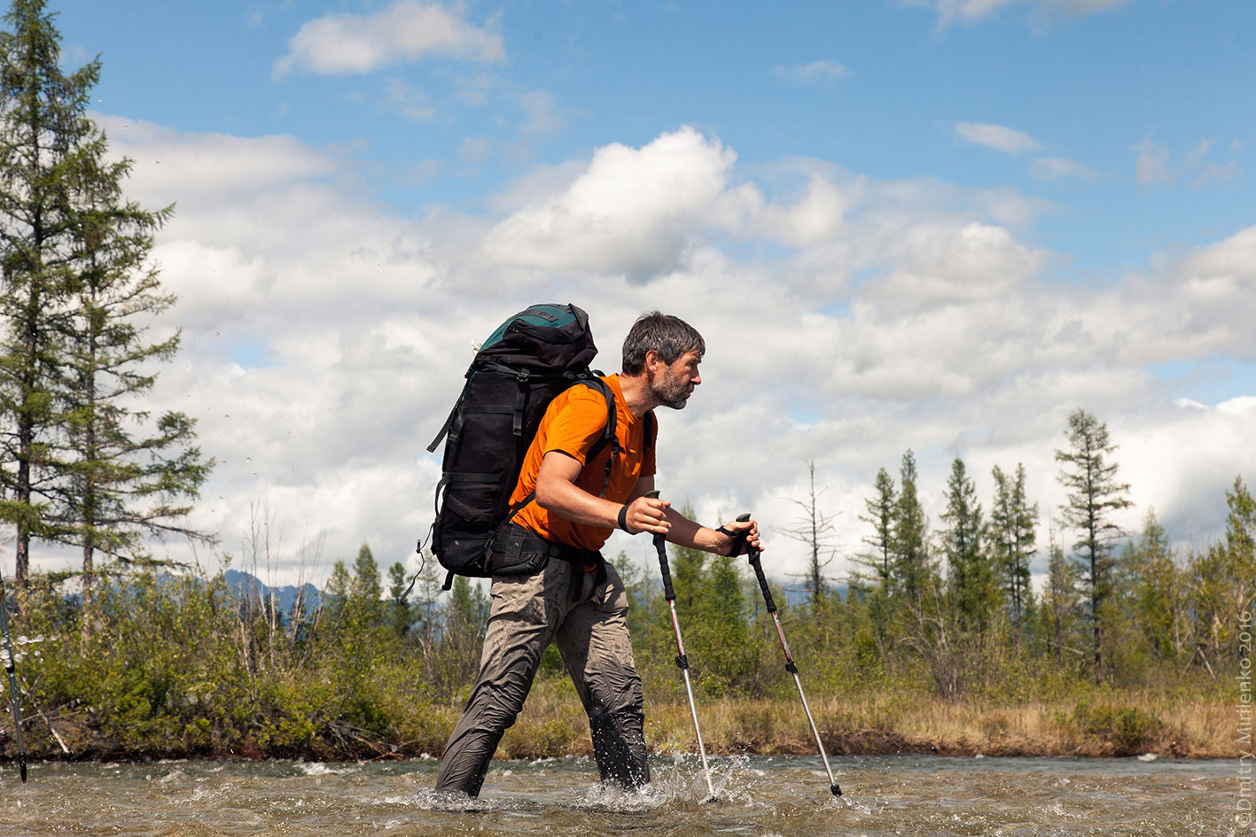 ���� ����� ���� ������� �������