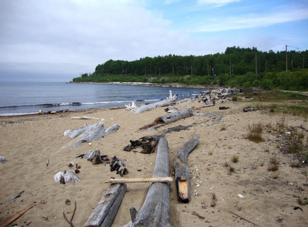 ������ ��� �������� ��������