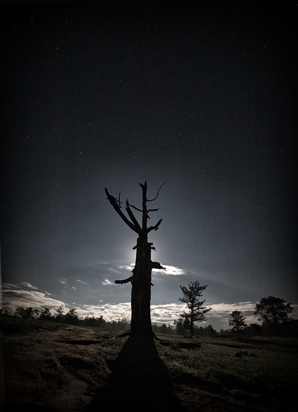 ������ ����