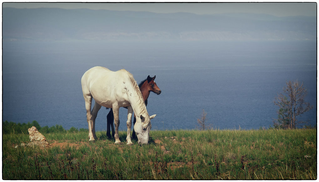 �� ������� ������