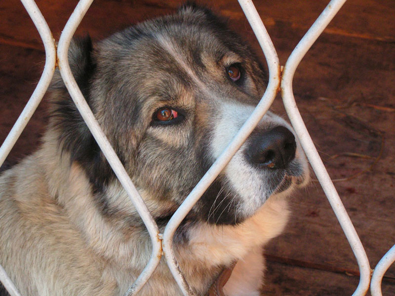 �� ��������� �� ������� ((