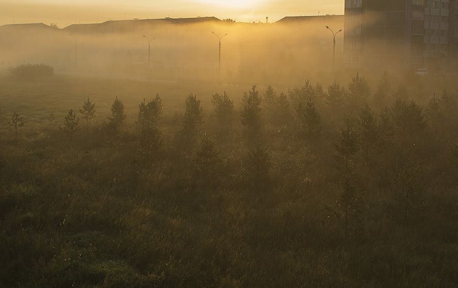 ���� �� ������� ������