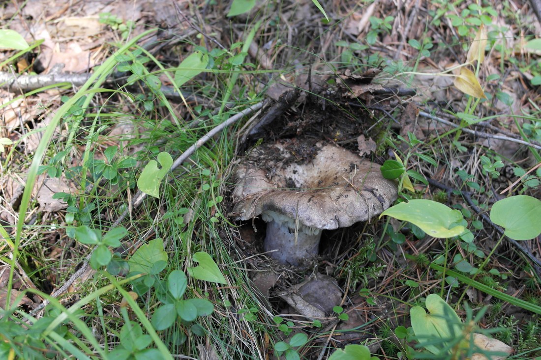 ������������ ���� 2