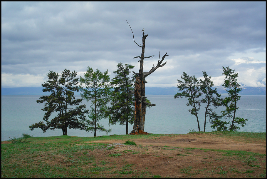 �� ����� �����