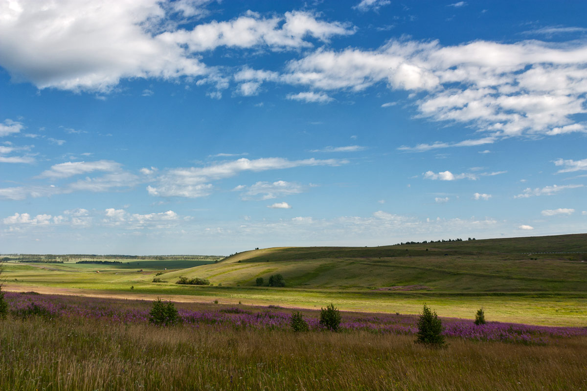 ���������� ��������