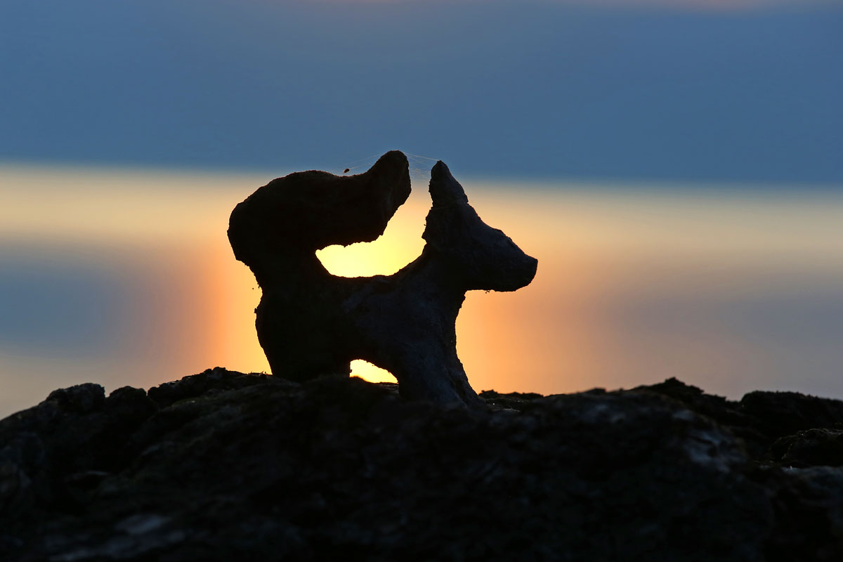 �������