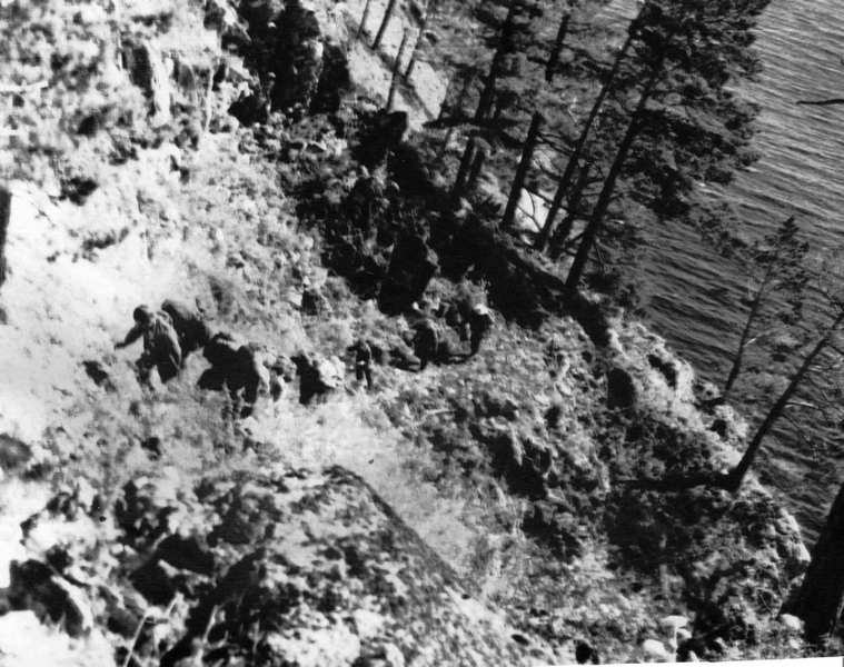 ������.������ 1966