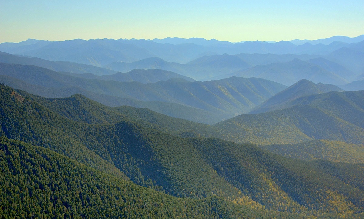 ���� ������