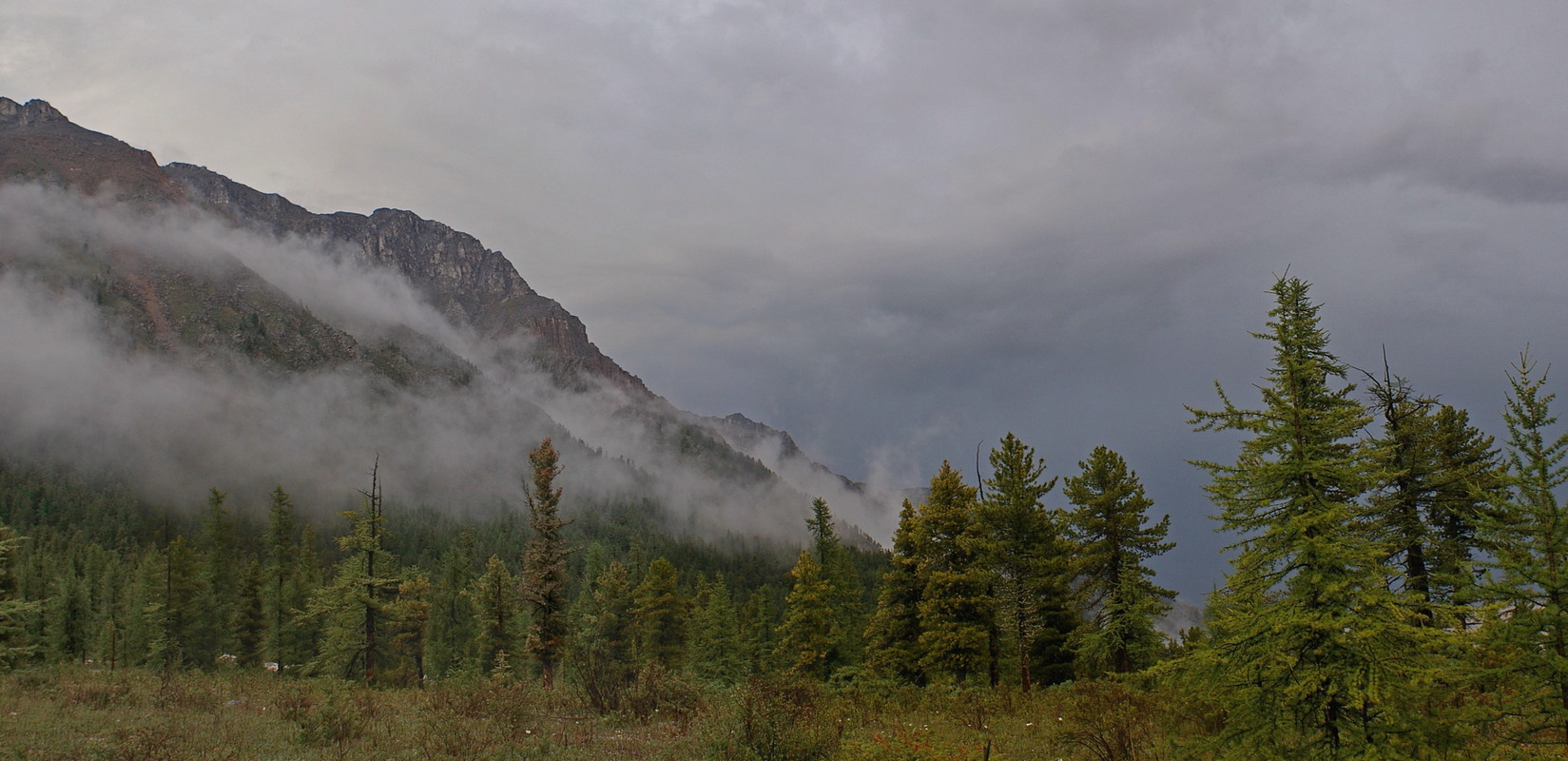 � ������� ��� ���������� �����.