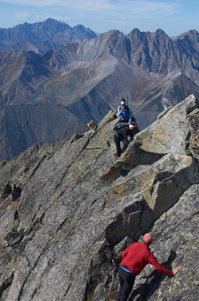 ��� ��� ���������!