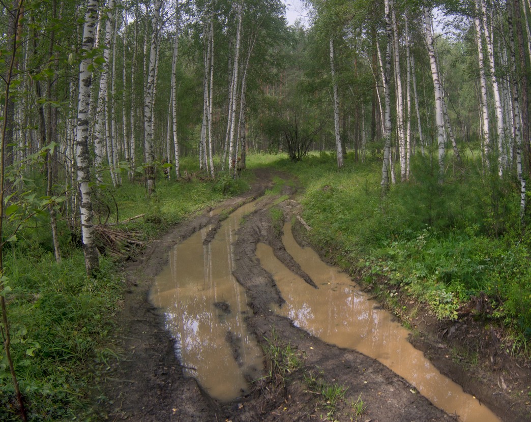 ��, ������