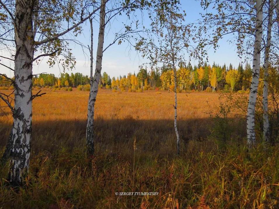 ������� �����