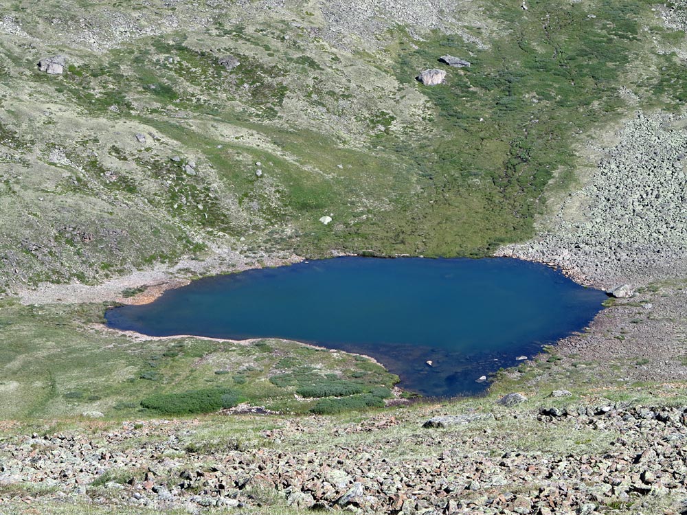 ������� �����