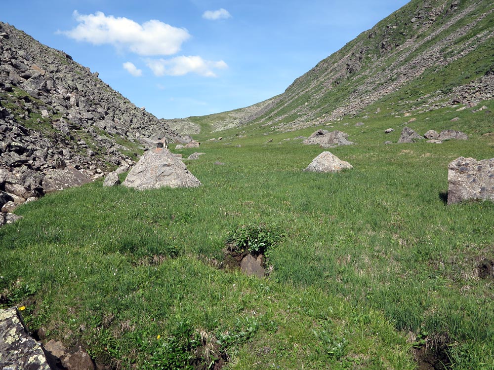 ������� ���������