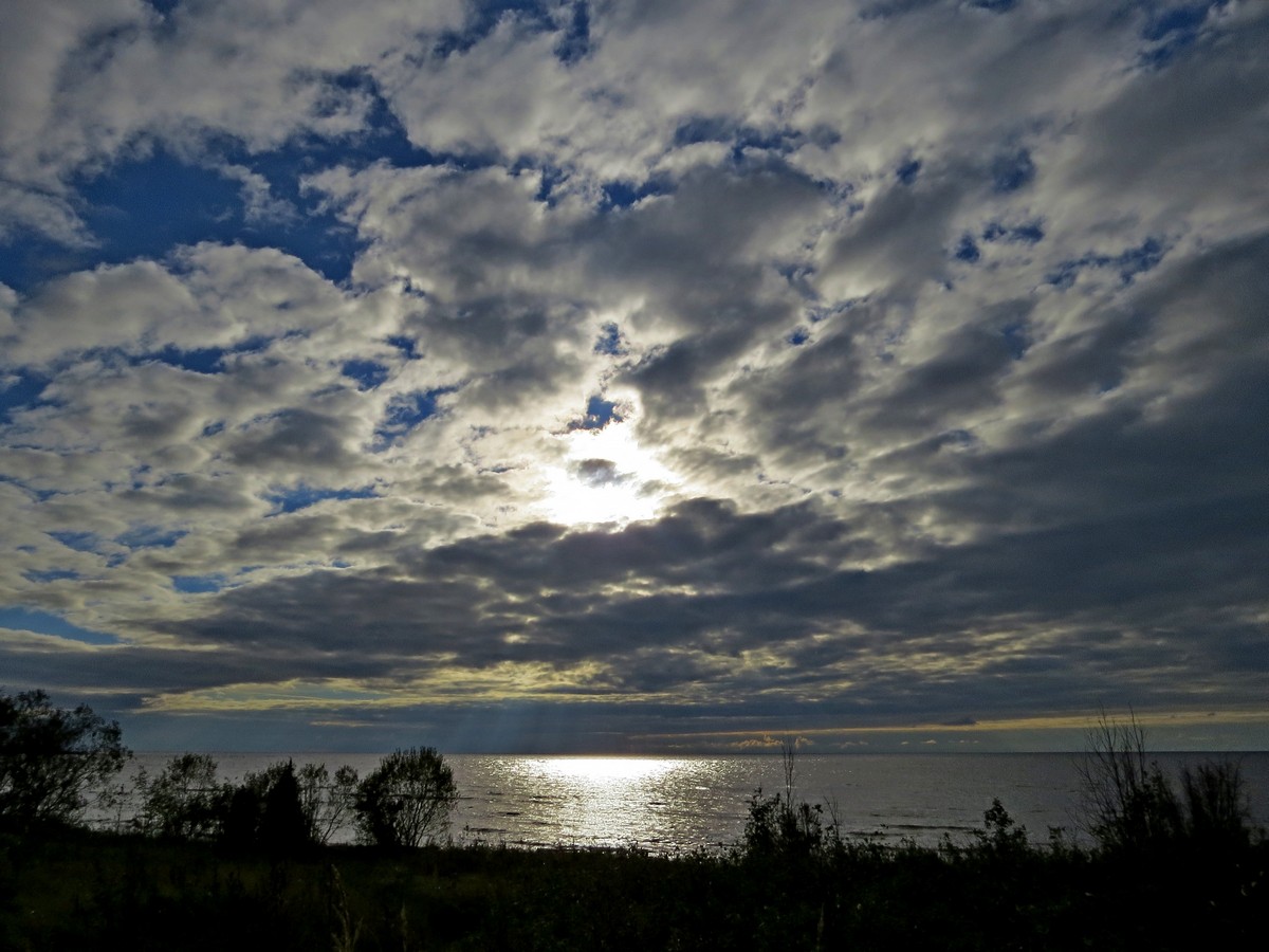 �������� ������