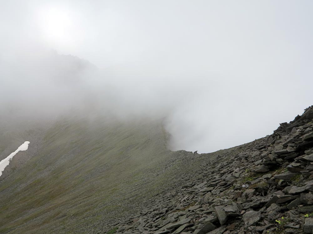 ������� ����� ���������� �������� � �������������