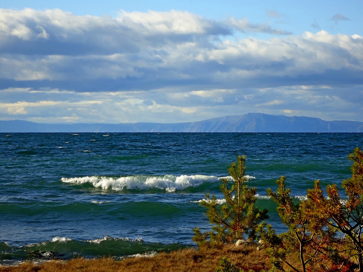 ������� ����