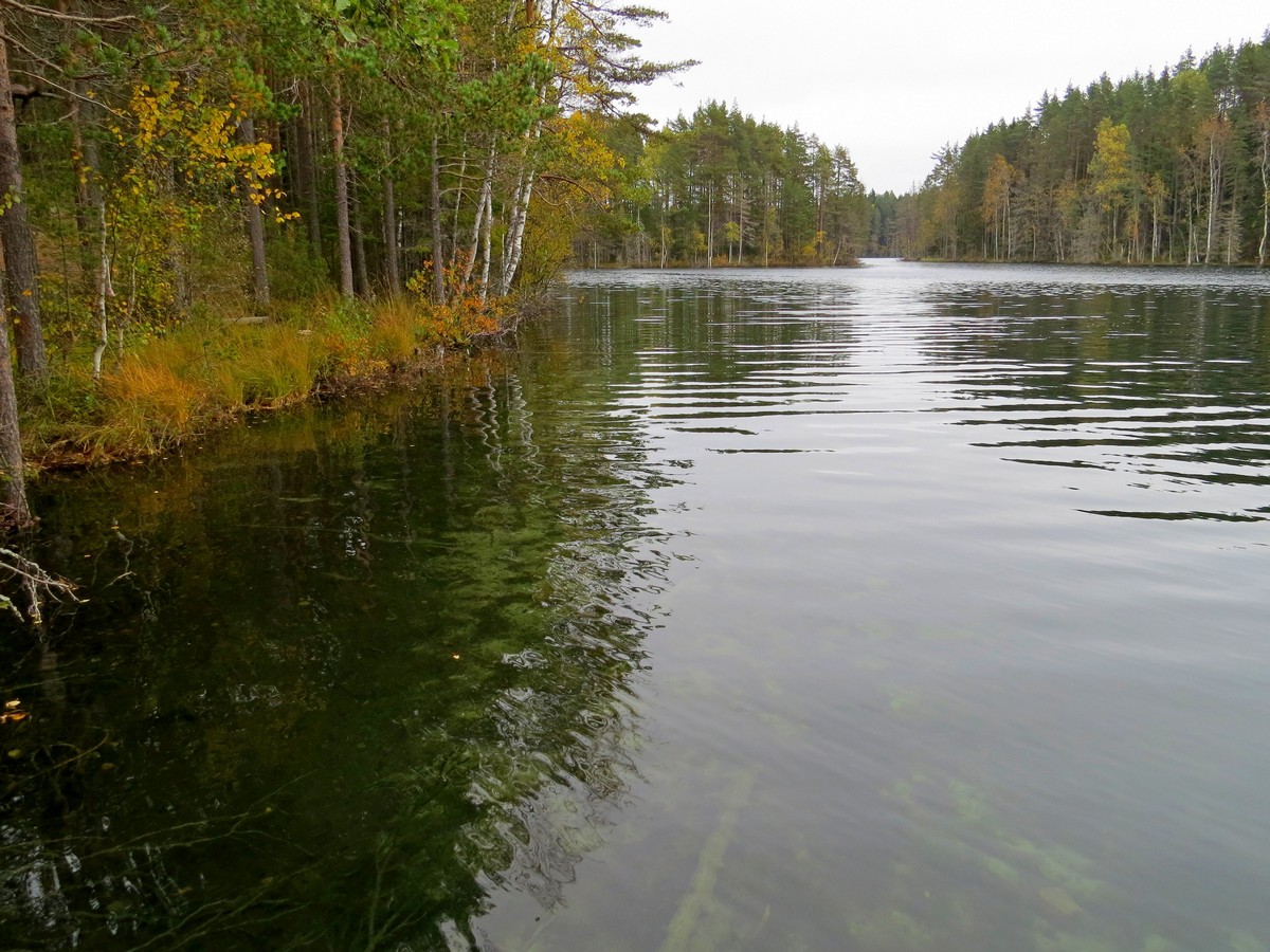 ��������� ����