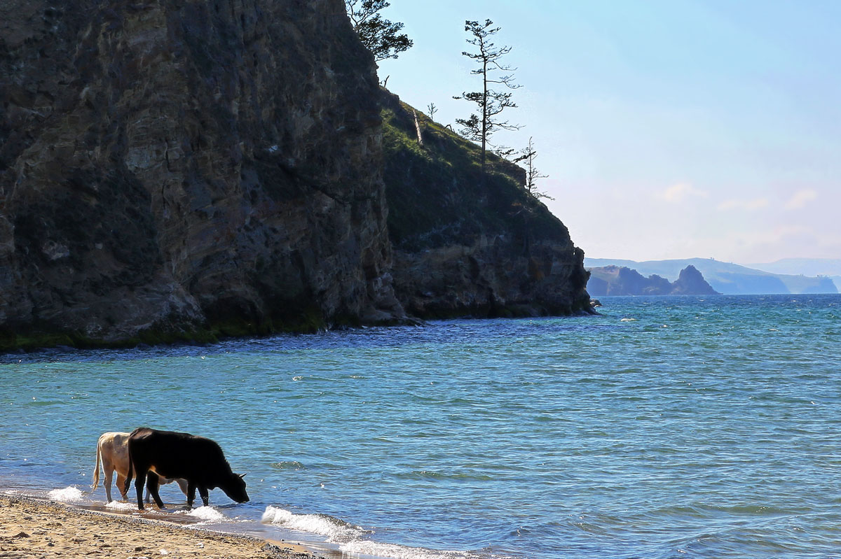 ������� � ����� �� �������