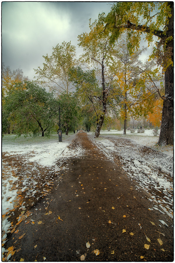 ������ ����