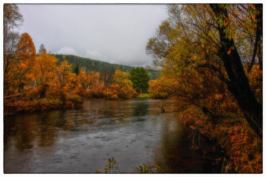 ����, ��������