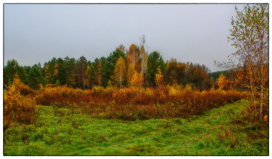 ������� ���������