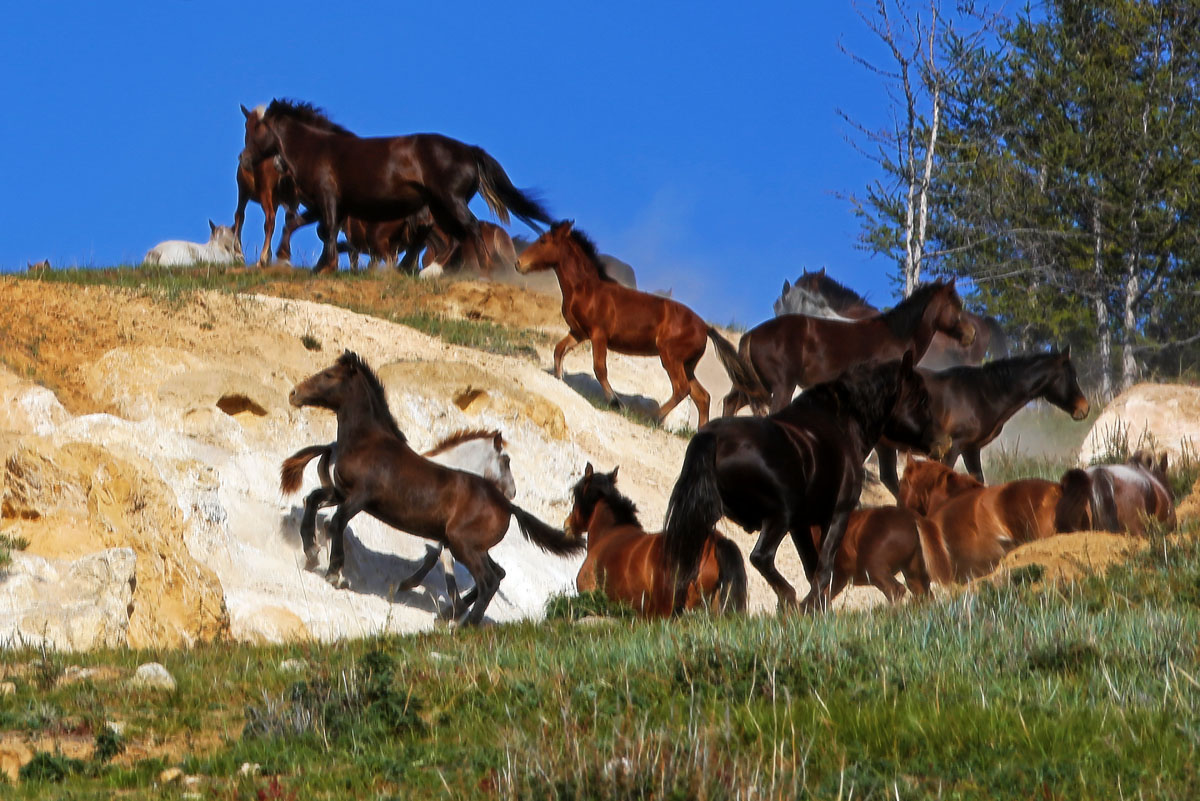 �������� �������