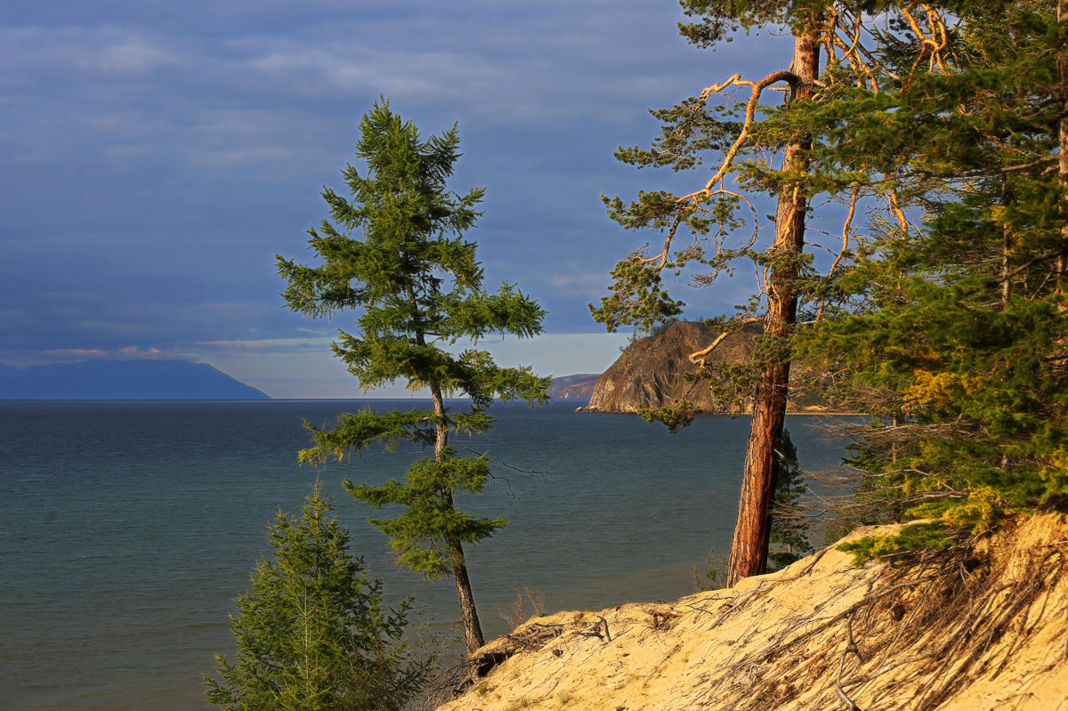 �� ����������� �������