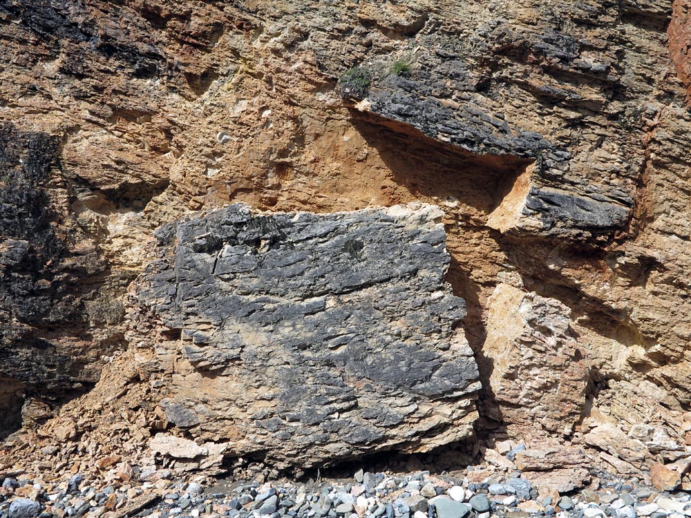 ������� ���������