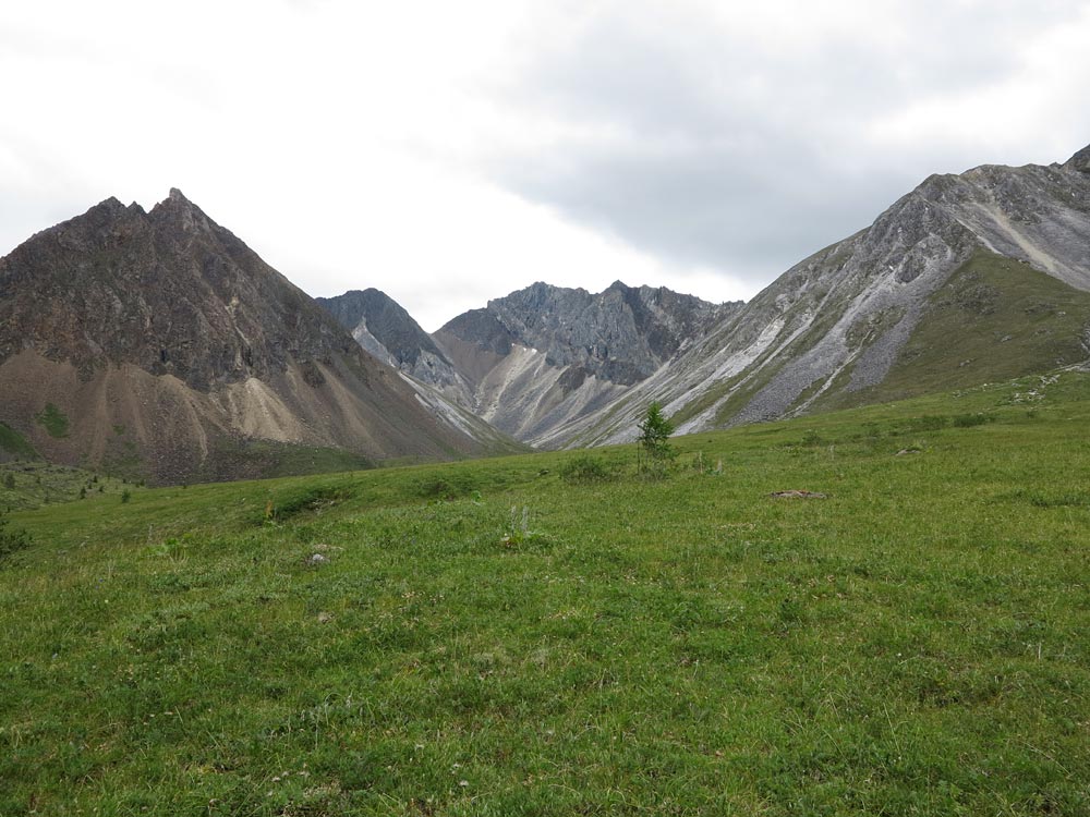 ��������� �������