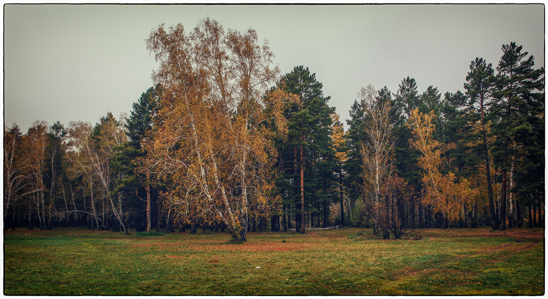 ������� ���������