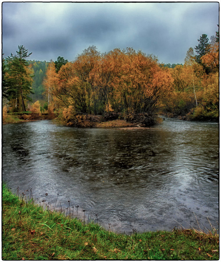 �������� �.����