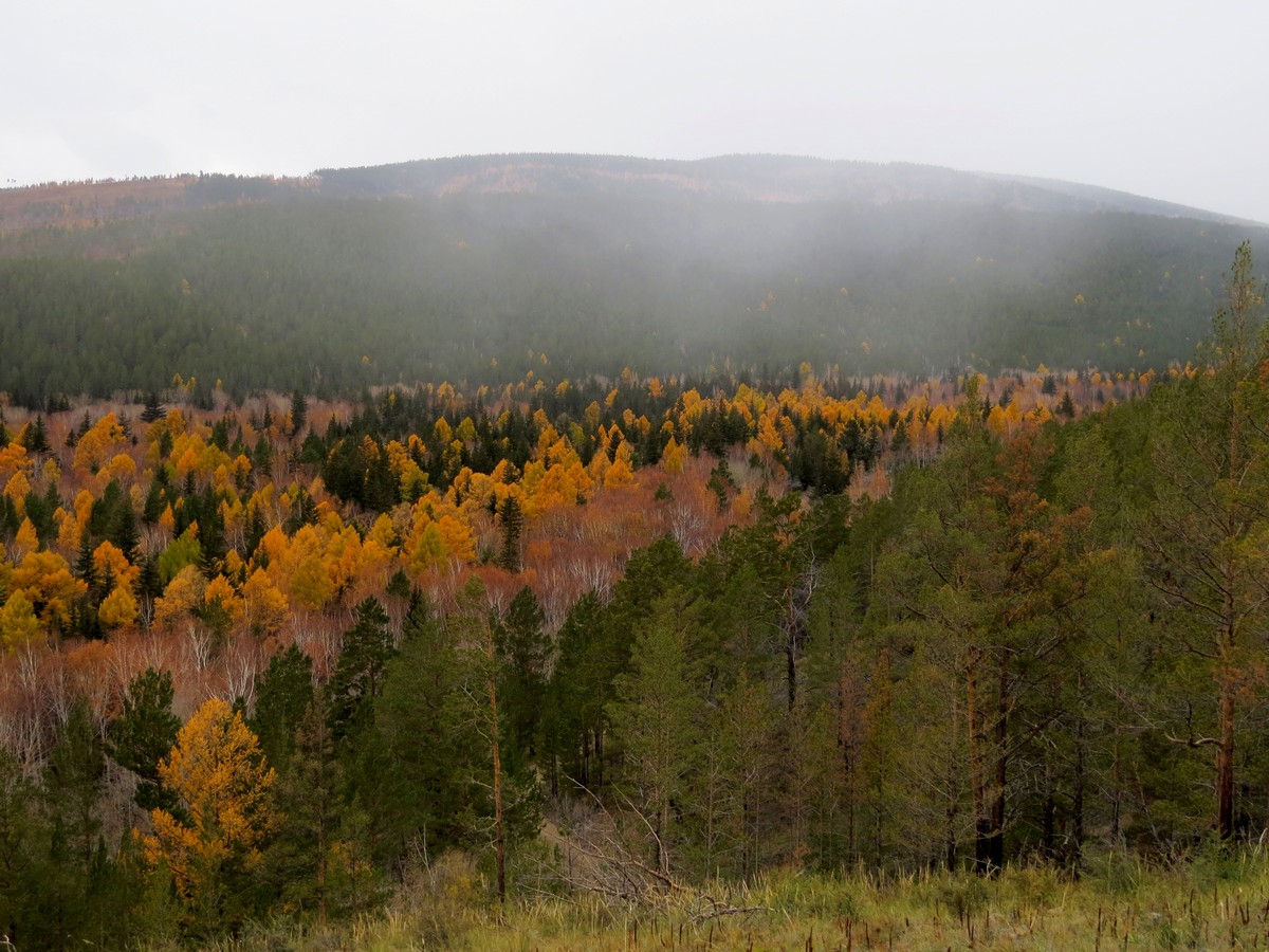 � ���� ��������