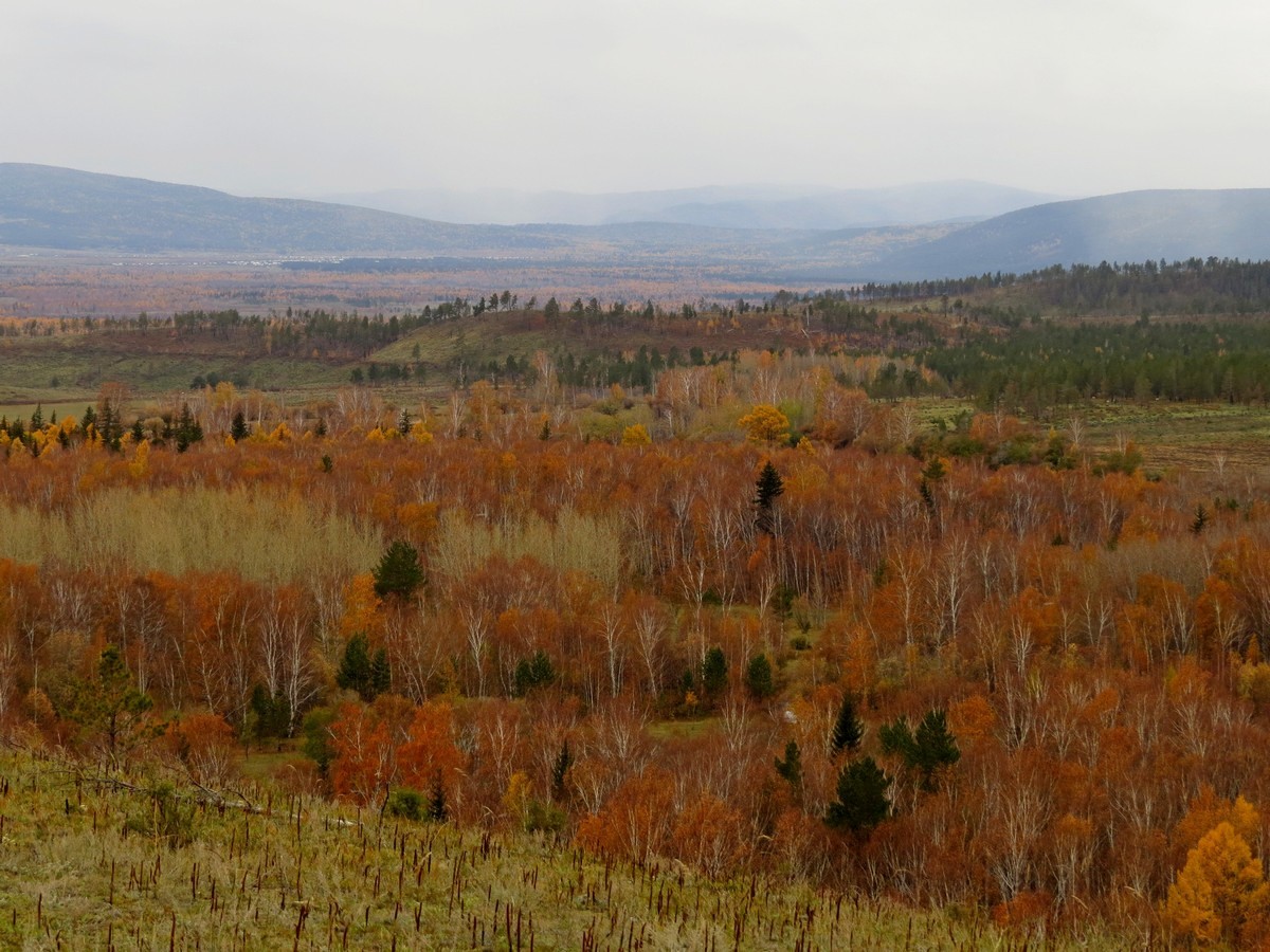 ��, ��� �����, ����� ���������!