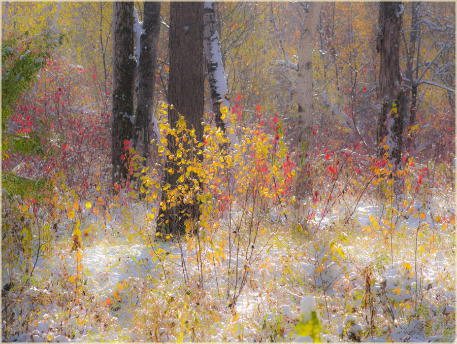 ��������� ����� �������