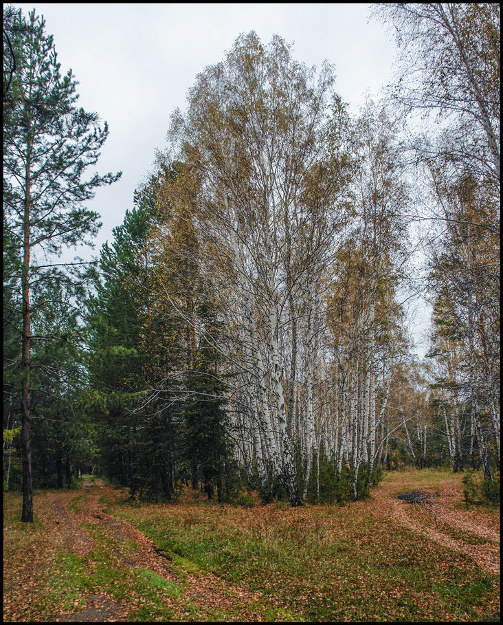 ����-�������