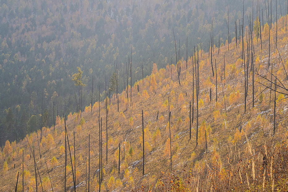 �� ������ ����