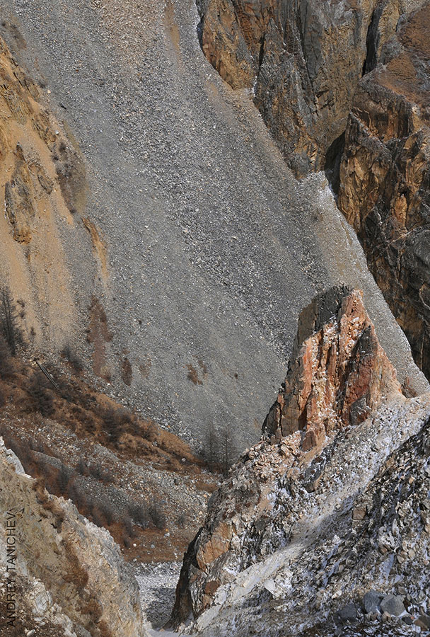 ��������� ���������