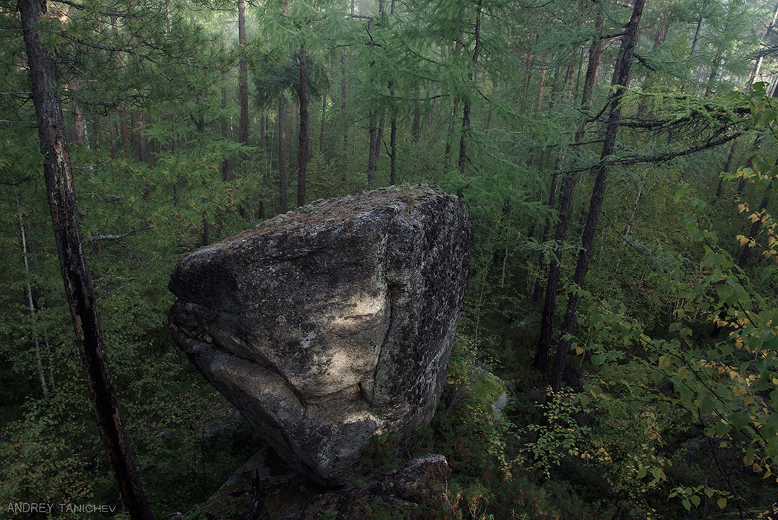 �������� ����� �����