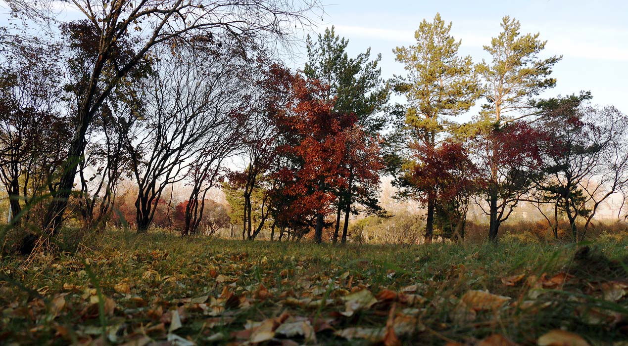 ����� ��� �����