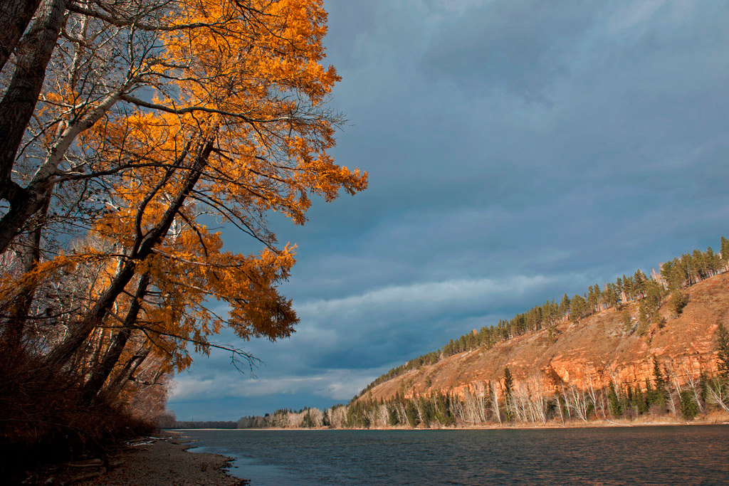 "������" �������