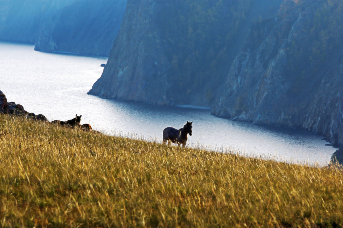 ��� ��������